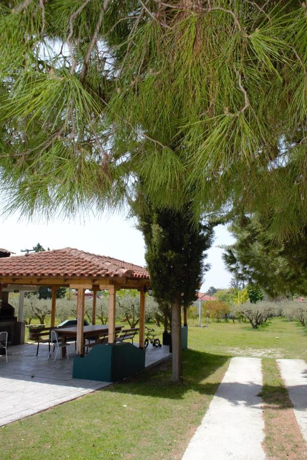 Olivemare Holidays