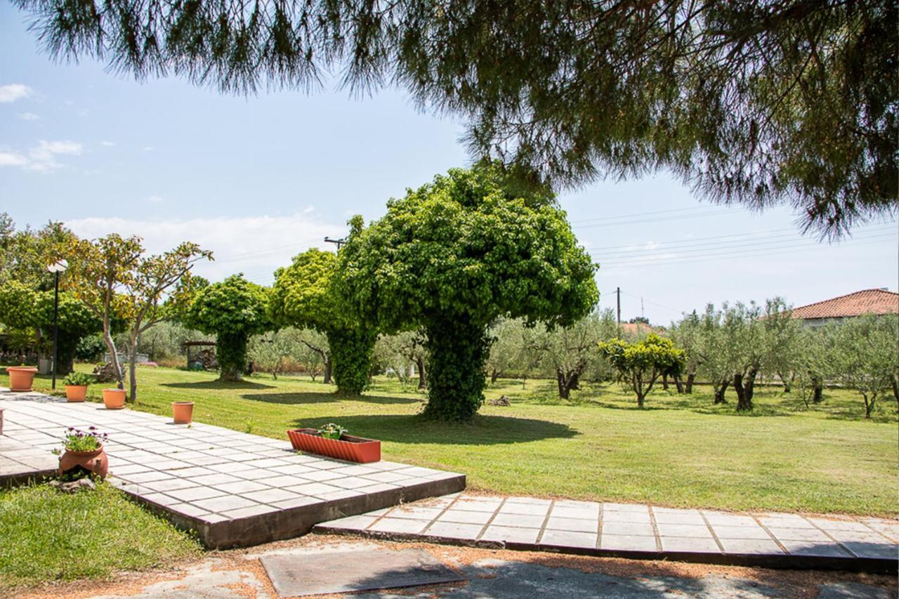 Olivemare Holidays Appartamento Nea Iraklia